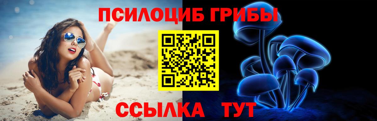 Псилоцибиновые грибы Psilocybe  Вход с VPN  Холмск 